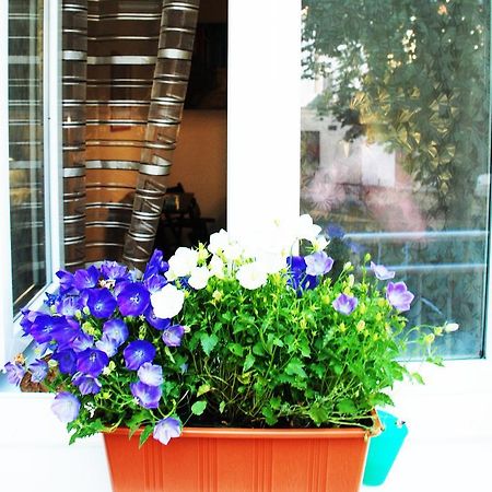 Apartment Vlhka Brno Bilik gambar
